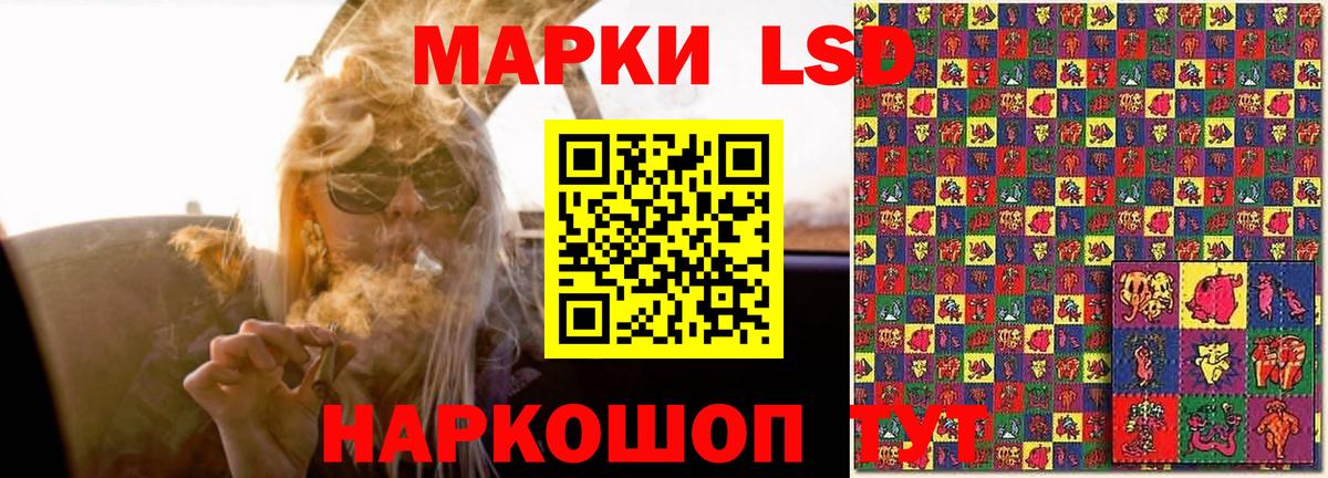 LSD-25 экстази кислота Лесной