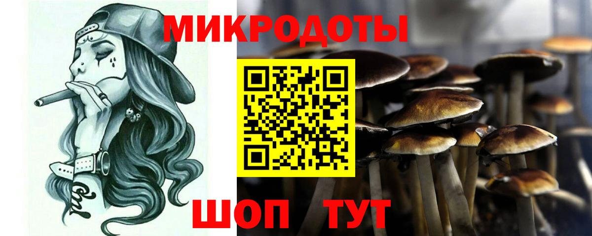 Лесной  Галлюциногенные грибы Psilocybe  Вход с VPN 